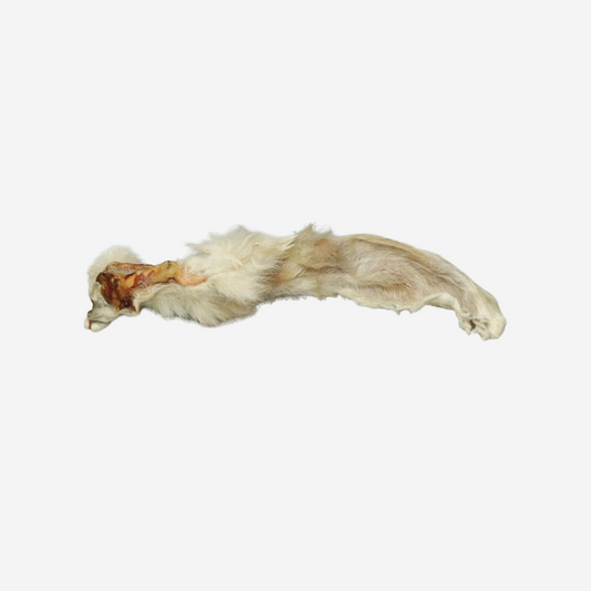 Oreille de Lapin avec Poils 🐇 - Pep's Your Dog