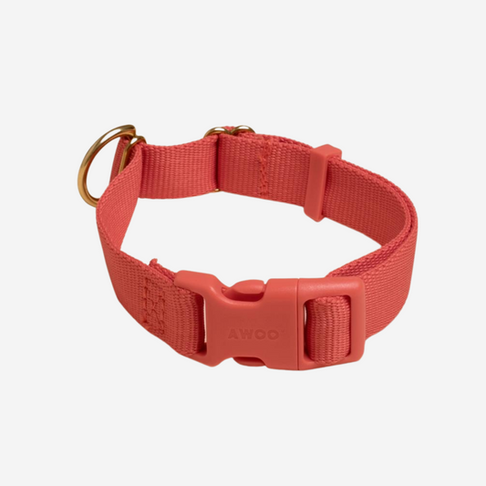 Ensemble Collier Rouge 🌶 - Pep's Your Dog