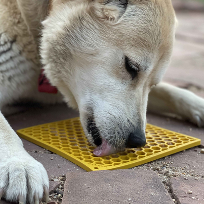 Tapis de léchage Ruche 🐝 - Pep's Your Dog