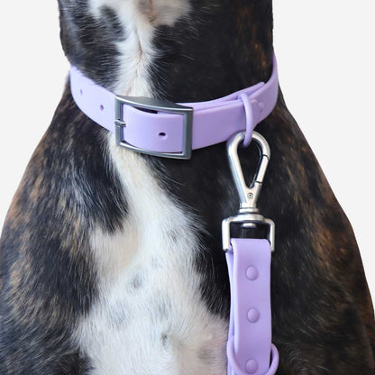 Collier Lilas 🦄💜 - Pep's Your Dog