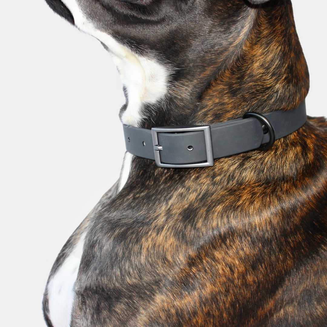 Collier Noir 🐧🖤 - Pep's Your Dog