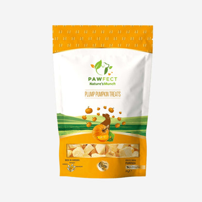 friandise naturelles, tranches de citrouille lyophilisées pour chien 