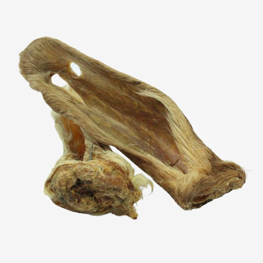 oreille-cerf-fourrure
